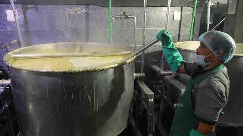 探访印度校餐工厂780