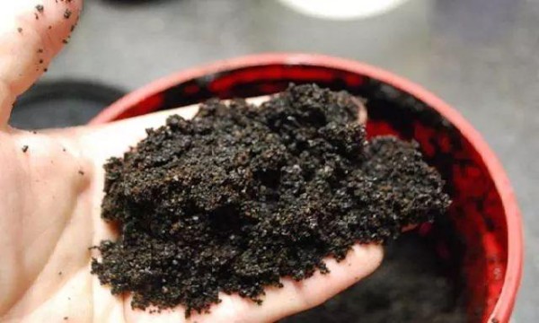 厨房里的剩菜残羹和厨余垃圾变成养花肥料，这11个方法太实用了