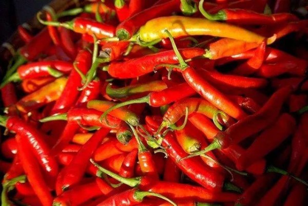 厨房里的剩菜残羹和厨余垃圾变成养花肥料，这11个方法太实用了