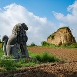 浮不动许多白