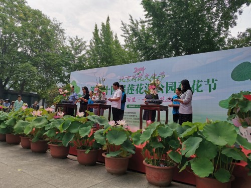 莲花池公园荷花节1.jpg