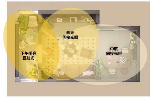光照分析图.png