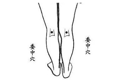 大暑节气这些养生重点，请查收！