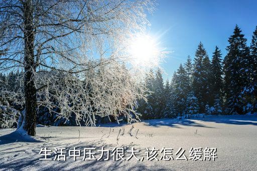 生活中压力很大,该怎么缓解