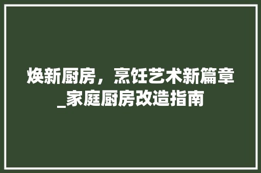 焕新厨房，烹饪艺术新篇章_家庭厨房改造指南