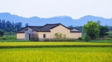  丽水旅游攻略：莲都区美食、物价、交通全解析，省钱秘籍大放送！