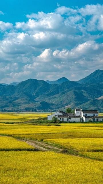  丽水旅游攻略：莲都区美食、物价、交通全解析，省钱秘籍大放送！
