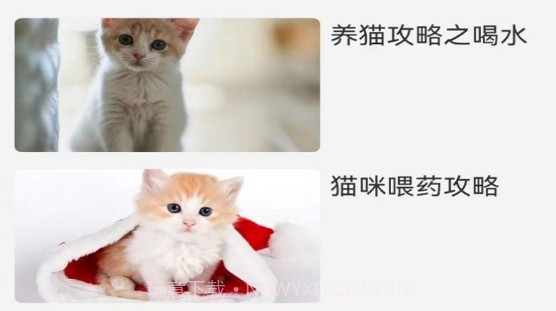 甜饭养猫助手v1.11截图