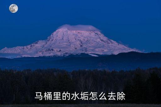 马桶里的水垢怎么去除