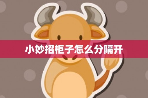 小妙招柜子怎么分隔开