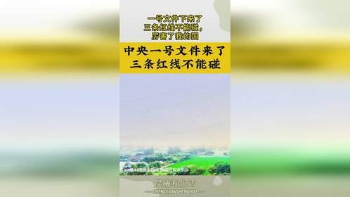 一号文件下来了，三条红线不能碰，厉害了我的国