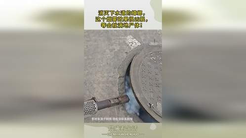 消灭下水道的蟑螂，这个烟雾效果很凶狠，等会就满地尸体！