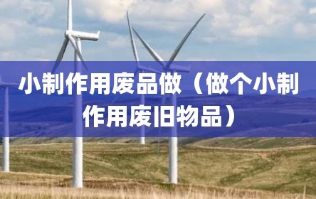 小制作用废品做（做个小制作用废旧物品）