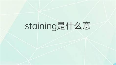 anti stain 中文