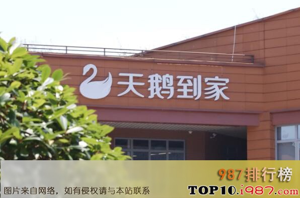 十大全国家政公司之天鹅到家