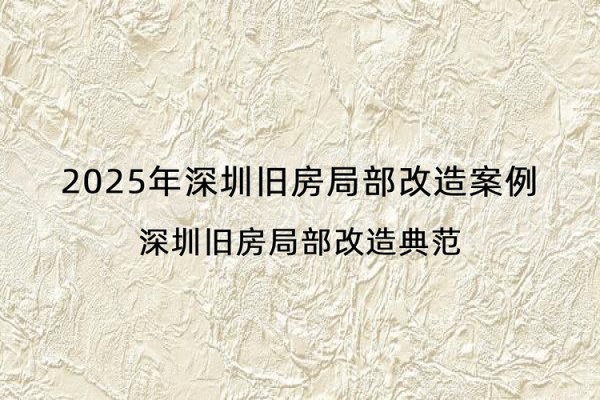 2025年深圳旧房局部改造案例