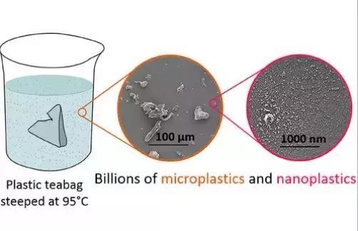 泡茶包=喝塑料？打疫苗还要考虑生物钟？| 一周科技速览
