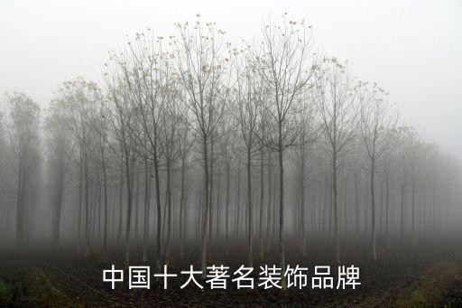 中国十大著名装饰品牌