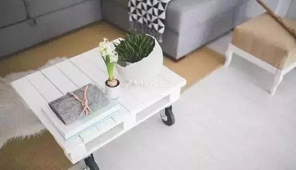 适合家里养的植物有哪些?好看好养活足以