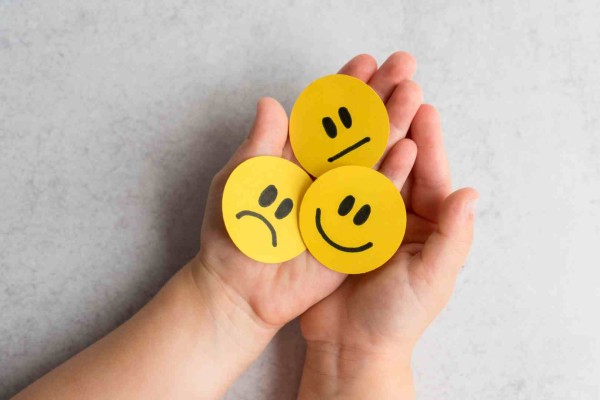 rueda de emociones de Plutchik