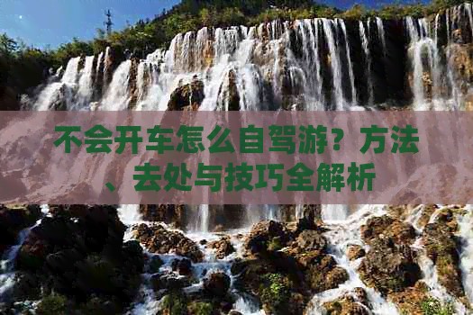 不会开车怎么自驾游？方法、去处与技巧全解析