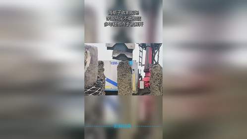 海蛎子收割现场，亲眼所见不敢相信，多年疑惑终于被解开