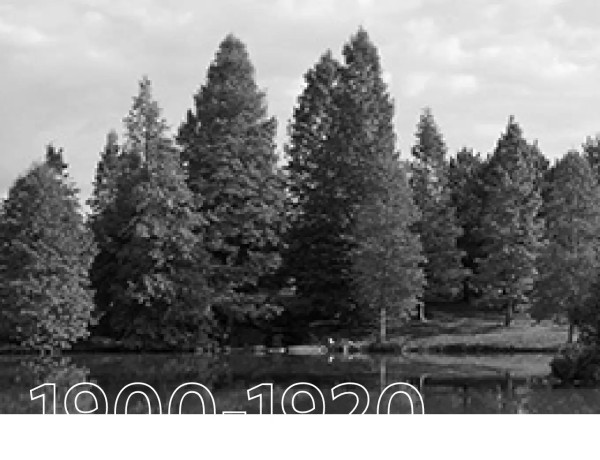Milliken Sustainability History - 1900-1920