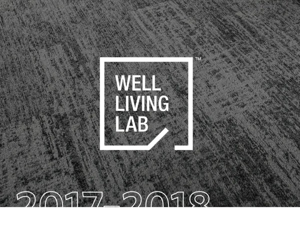 Milliken Sustainability History - 2017-2018