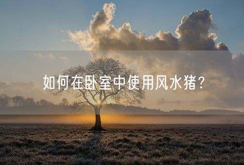 如何在卧室中使用风水猪？(图1)