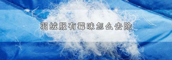 羽绒服有霉味怎么去除