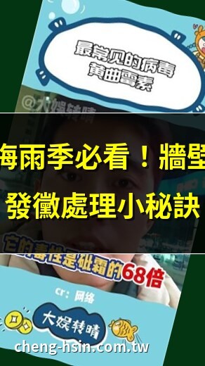 東西發霉