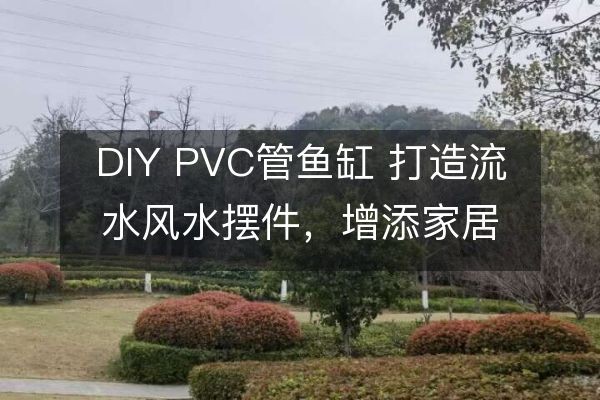 DIY PVC管鱼缸 打造流水风水摆件，增添家居美感