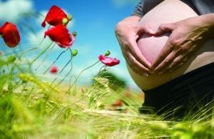 孕期维生素食补胜过药补