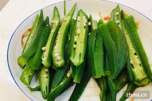荤菜和素菜