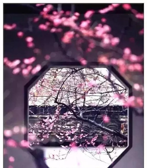 十首小禅诗，道出人生大境界，带你感悟禅意人生！