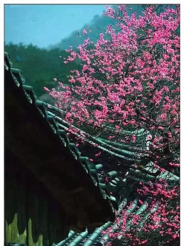 十首小禅诗，道出人生大境界，带你感悟禅意人生！