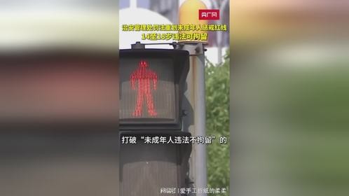 179_治安管理处罚法重划未成年人惩戒红线14至18岁违法可拘留