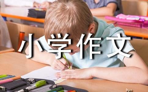 【推荐】我的生活小学作文四篇