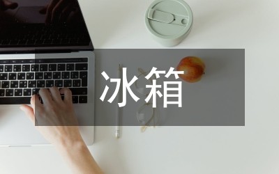 家用立式冰箱冷藏柜创新设计分析