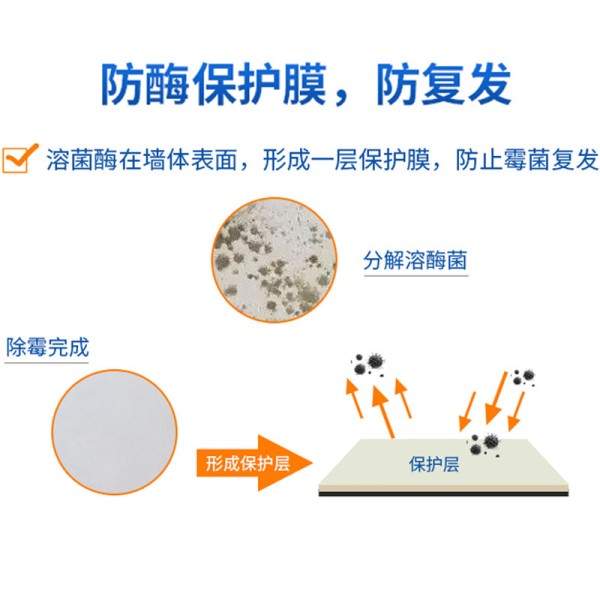 墙体除霉剂墙面去霉神器房间墙面霉菌发霉去墙体除霉剂