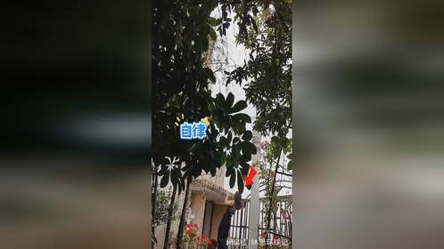 二嫂这也太自律了吧！