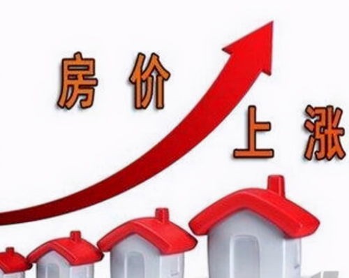 社区做什么项目合适赚钱