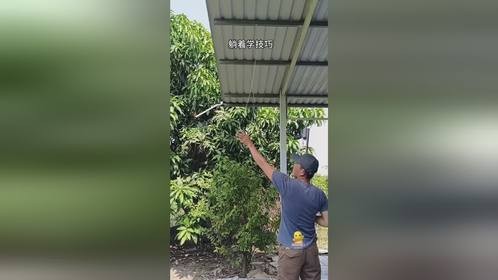 分享几个实用技巧！