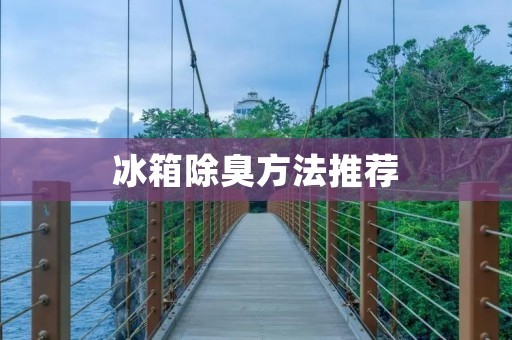 冰箱除臭方法推荐：使用什么材料最有效？