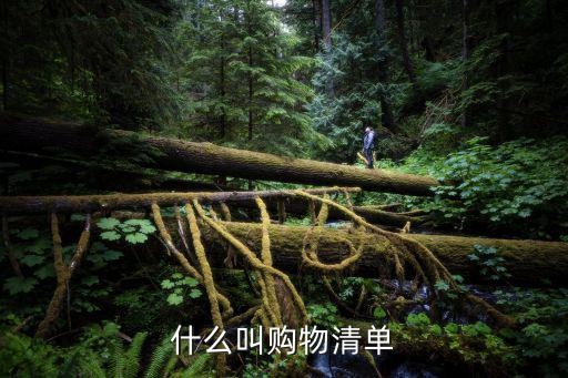 什么叫购物清单