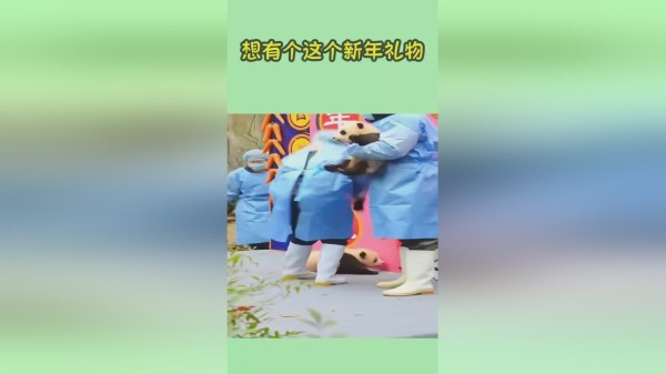 想有个这个新年礼物这是我今年的愿望