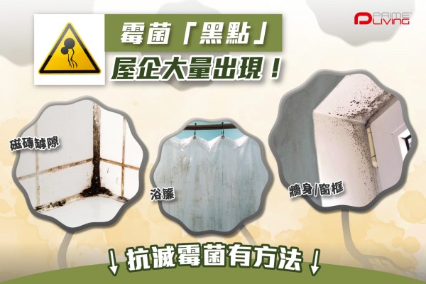 香港回南天除霉方法圖解：天然防霉產品使用步驟