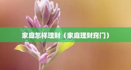 家庭怎样理财（家庭理财窍门）