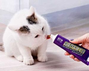 瓜洲牧猫咪化毛膏（给您的猫咪一个健康舒适的生活环境）
