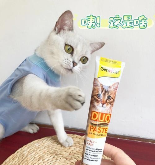 瓜洲牧猫咪化毛膏（给您的猫咪一个健康舒适的生活环境）